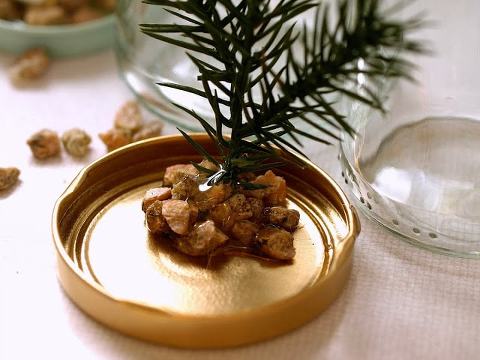 Homemade Snow Globes || This Little Miggy Stayed Home