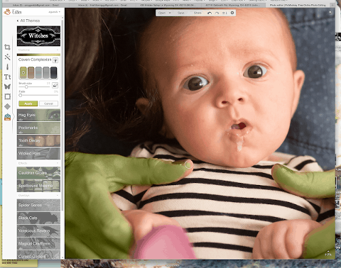 This Little Miggy || Halloween Family Photos