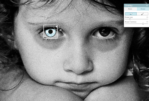 This Little Miggy || Halloween Family Photos