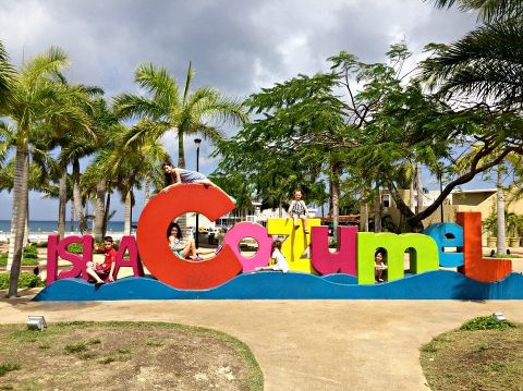 This Little Miggy || Disney Cruise 2017