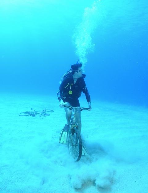 This Little Miggy || Disney Cruise 2017