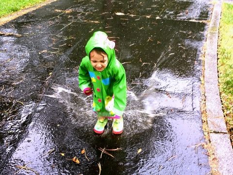 This Little Miggy || Fall 2017 