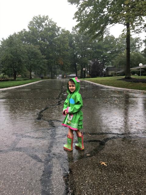 This Little Miggy || Fall 2017 