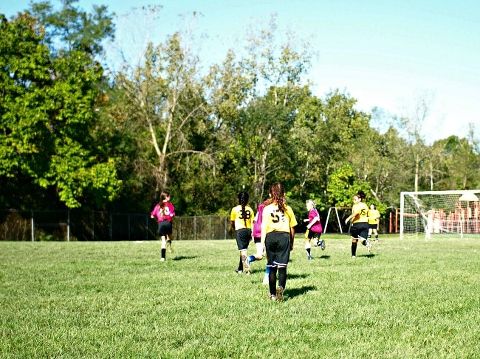 This Little Miggy || Fall 2017 