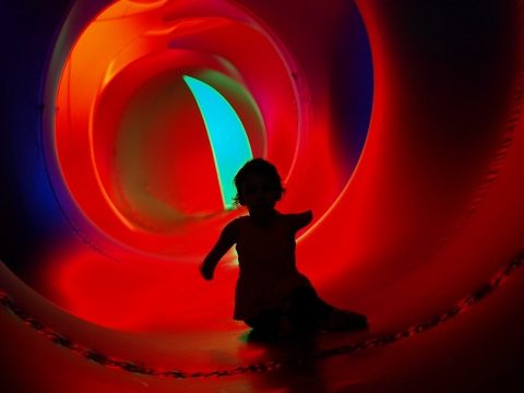 This Little Miggy | Blink Cincinnati