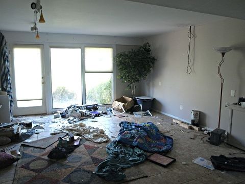 This Little Miggy || Moving