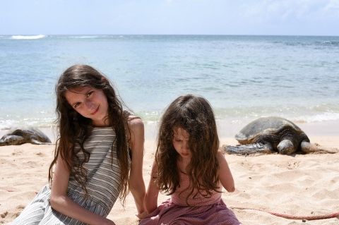 This Little Miggy || Hawaii