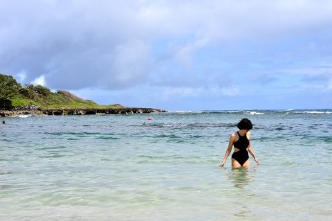 This Little Miggy || Hawaii