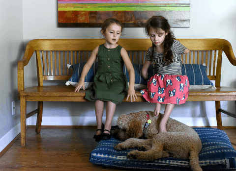 This Little Miggy || Back to school with Carter's